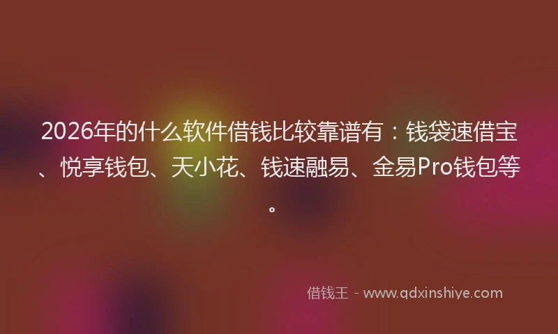 2026年的什么软件借钱比较靠谱有:钱袋速借宝、悦享钱包、天小花、钱速融易、金易Pro钱包等。