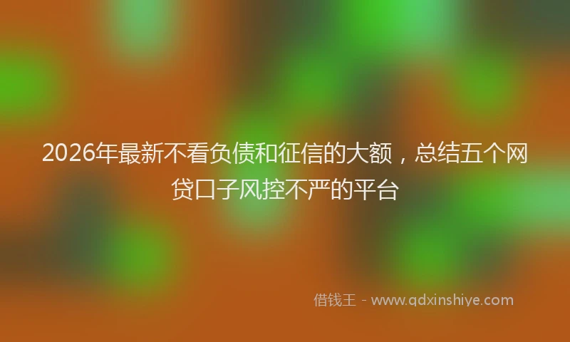 2026年最新不看负债和征信的大额，总结五个网贷口子风控不严的平台