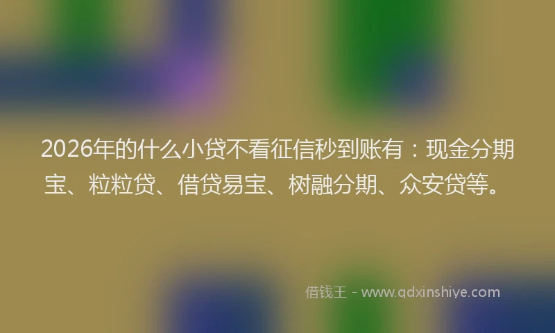 2026年的什么小贷不看征信秒到账有：现金分期宝、粒粒贷、借贷易宝、树融分期、众安贷等。