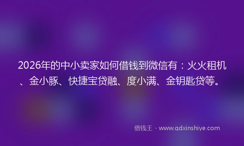 2026年的中小卖家如何借钱到微信有:火火租机、金小豚、快捷宝贷融、度小满、金钥匙贷等。