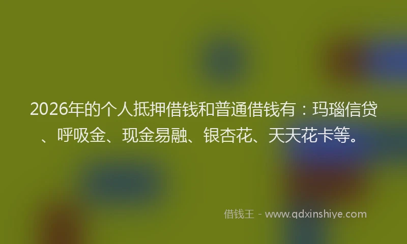 2026年的个人抵押借钱和普通借钱有：玛瑙信贷、呼吸金、现金易融、银杏花、天天花卡等。