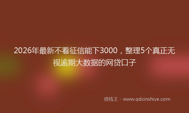 2026年最新不看征信能下3000，整理5个真正无视逾期大数据的网贷口子