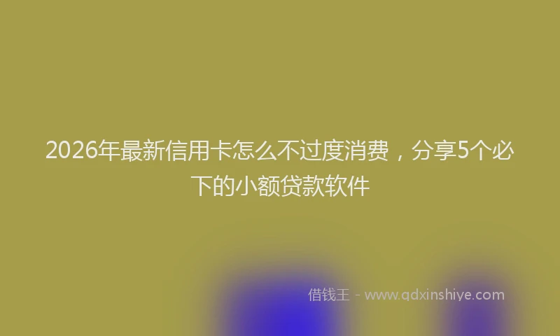 2026年最新信用卡怎么不过度消费，分享5个必下的小额贷款软件