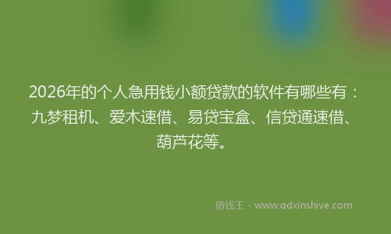 2026年的个人急用钱小额贷款的软件有哪些有：九梦租机、爱木速借、易贷宝盒、信贷通速借、葫芦花等。