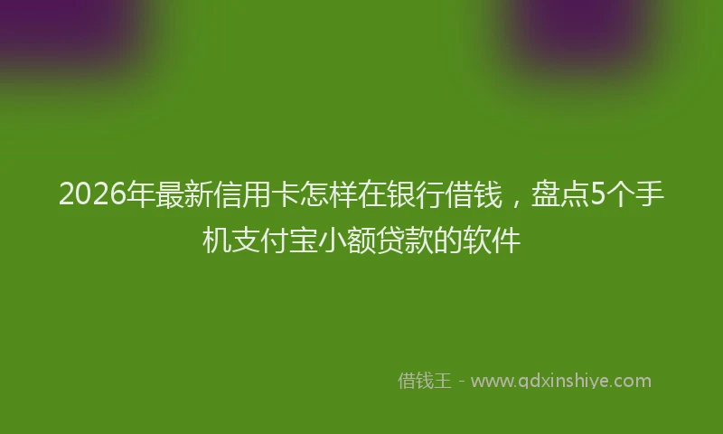 2026年最新信用卡怎样在银行借钱,盘点5个手机支付宝小额贷款的软件