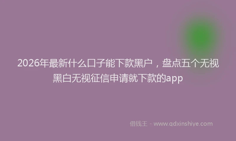 2026年最新什么口子能下款黑户，盘点五个无视黑白无视征信申请就下款的app