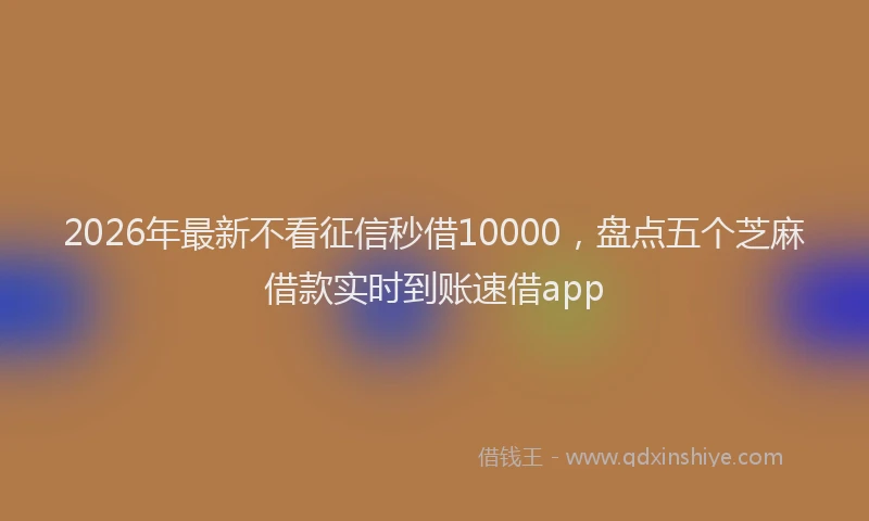 2026年最新不看征信秒借10000,盘点五个芝麻借款实时到账速借app