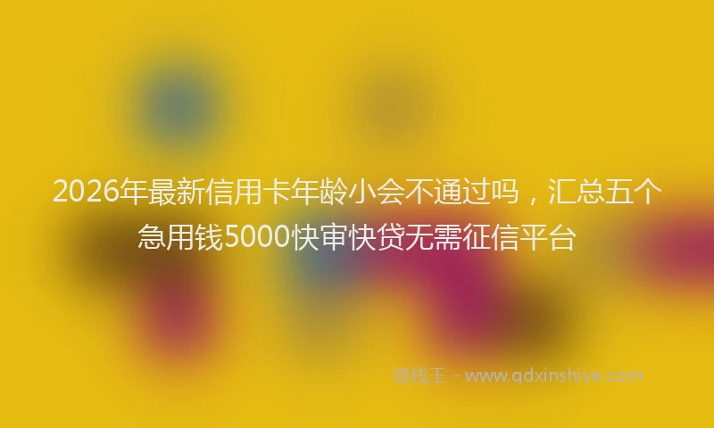 2026年最新信用卡年龄小会不通过吗,汇总五个急用钱5000快审快贷无需征信平台