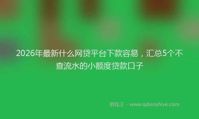 2026年最新什么网贷平台下款容易，汇总5个不查流水的小额度贷款口子