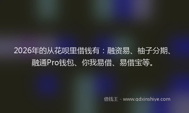2026年的从花呗里借钱有：融资易、柚子分期、融通Pro钱包、你我易借、易借宝等。