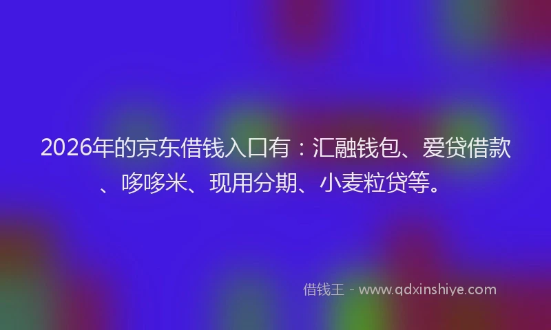 2026年的京东借钱入口有:汇融钱包、爱贷借款、哆哆米、现用分期、小麦粒贷等。