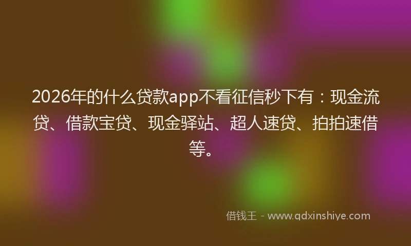 2026年的什么贷款app不看征信秒下有:现金流贷、借款宝贷、现金驿站、超人速贷、拍拍速借等。