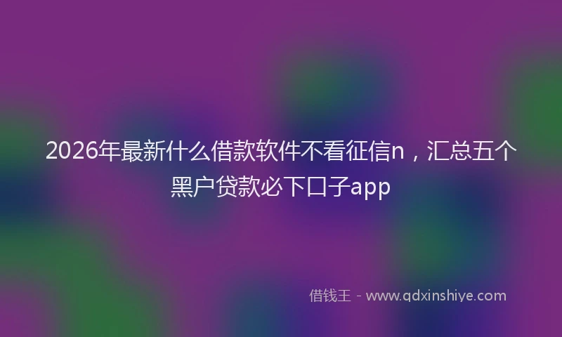 2026年最新什么借款软件不看征信n，汇总五个黑户贷款必下口子app