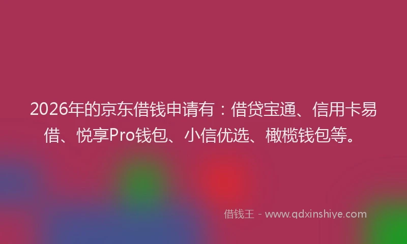 2026年的京东借钱申请有：借贷宝通、信用卡易借、悦享Pro钱包、小信优选、橄榄钱包等。
