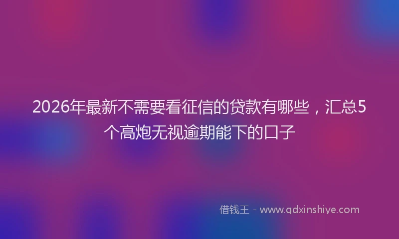 2026年最新不需要看征信的贷款有哪些，汇总5个高炮无视逾期能下的口子