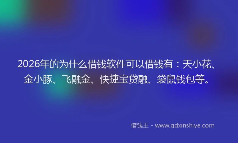 2026年的为什么借钱软件可以借钱有：天小花、金小豚、飞融金、快捷宝贷融、袋鼠钱包等。