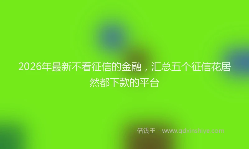 2026年最新不看征信的金融，汇总五个征信花居然都下款的平台