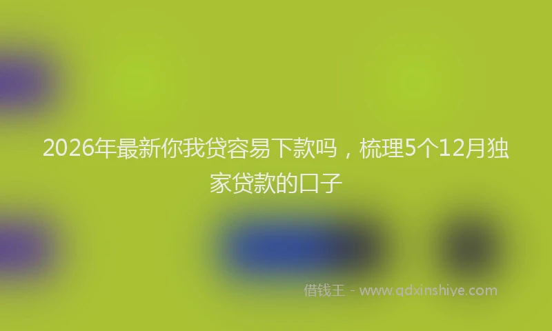 2026年最新你我贷容易下款吗,梳理5个12月独家贷款的口子