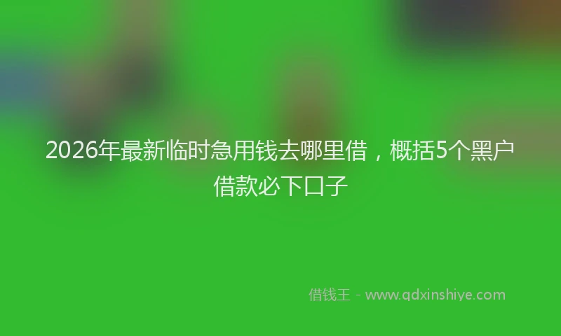 2026年最新临时急用钱去哪里借，概括5个黑户借款必下口子