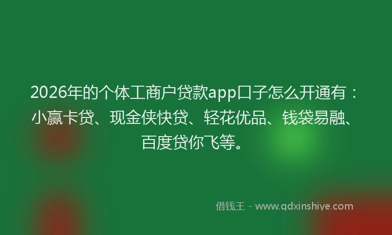 2026年的个体工商户贷款app口子怎么开通有:小赢卡贷、现金侠快贷、轻花优品、钱袋易融、百度贷你飞等。