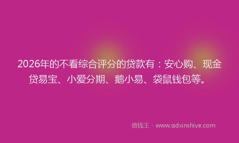 2026年的不看综合评分的贷款有：安心购、现金贷易宝、小爱分期、鹅小易、袋鼠钱包等。