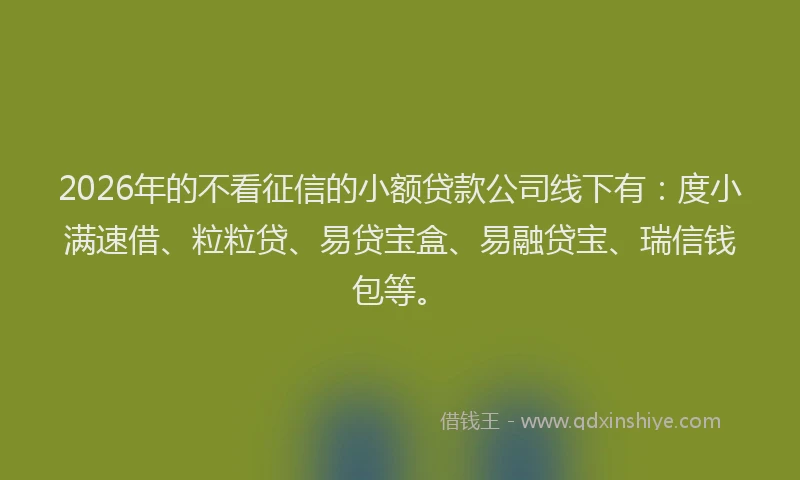2026年的不看征信的小额贷款公司线下有:度小满速借、粒粒贷、易贷宝盒、易融贷宝、瑞信钱包等。