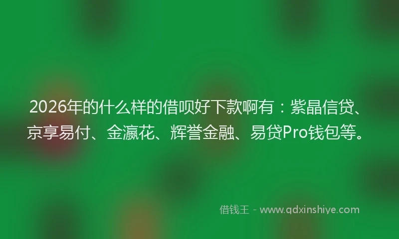 2026年的什么样的借呗好下款啊有：紫晶信贷、京享易付、金瀛花、辉誉金融、易贷Pro钱包等。