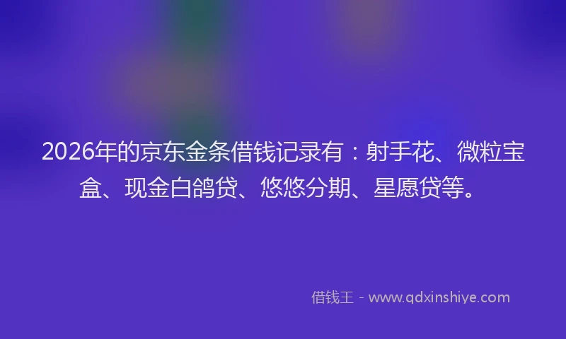 2026年的京东金条借钱记录有：射手花、微粒宝盒、现金白鸽贷、悠悠分期、星愿贷等。