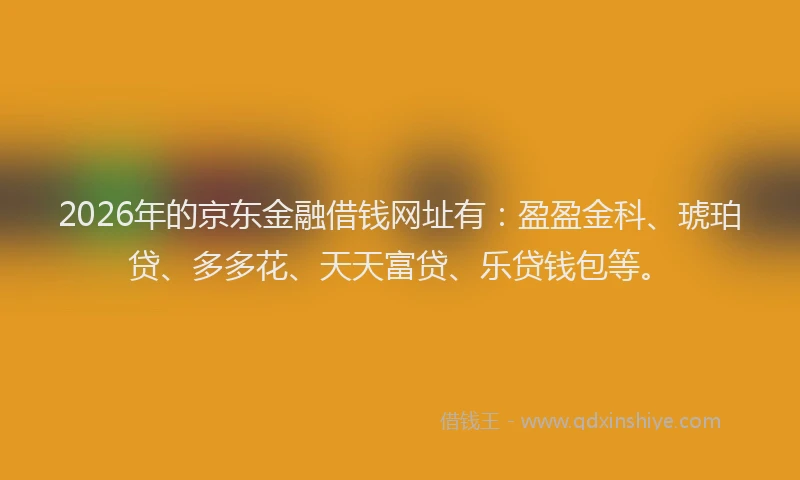 2026年的京东金融借钱网址有：盈盈金科、琥珀贷、多多花、天天富贷、乐贷钱包等。