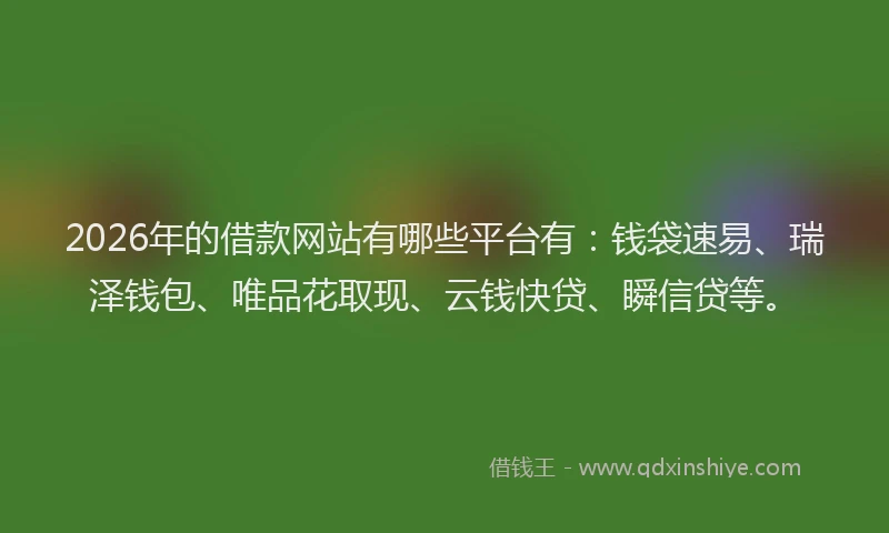 2026年的借款网站有哪些平台有：钱袋速易、瑞泽钱包、唯品花取现、云钱快贷、瞬信贷等。
