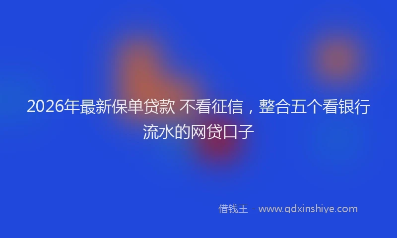 2026年最新保单贷款 不看征信，整合五个看银行流水的网贷口子