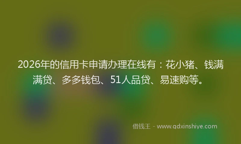 2026年的信用卡申请办理在线有:花小猪、钱满满贷、多多钱包、51人品贷、易速购等。