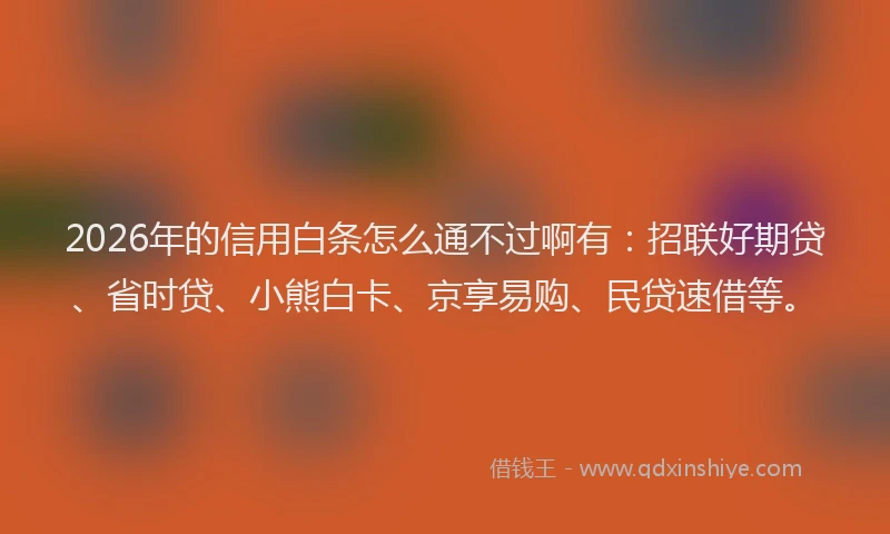 2026年的信用白条怎么通不过啊有：招联好期贷、省时贷、小熊白卡、京享易购、民贷速借等。