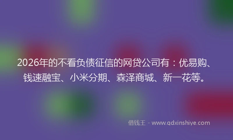 2026年的不看负债征信的网贷公司有：优易购、钱速融宝、小米分期、森泽商城、新一花等。