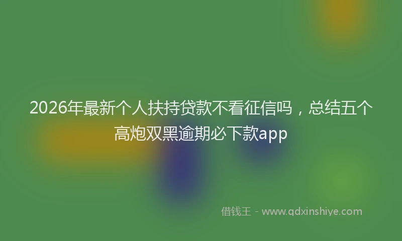 2026年最新个人扶持贷款不看征信吗，总结五个高炮双黑逾期必下款app
