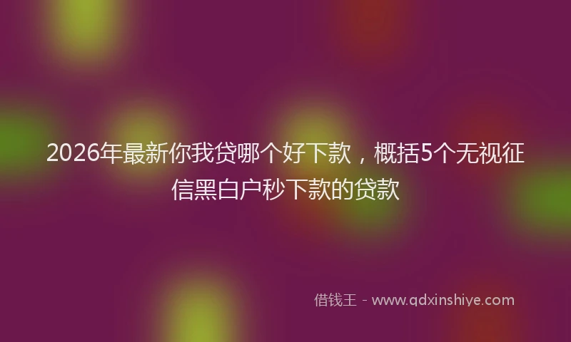 2026年最新你我贷哪个好下款，概括5个无视征信黑白户秒下款的贷款