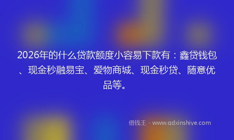 2026年的什么贷款额度小容易下款有：鑫贷钱包、现金秒融易宝、爱物商城、现金秒贷、随意优品等。