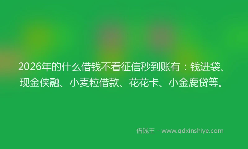 2026年的什么借钱不看征信秒到账有：钱进袋、现金侠融、小麦粒借款、花花卡、小金鹿贷等。