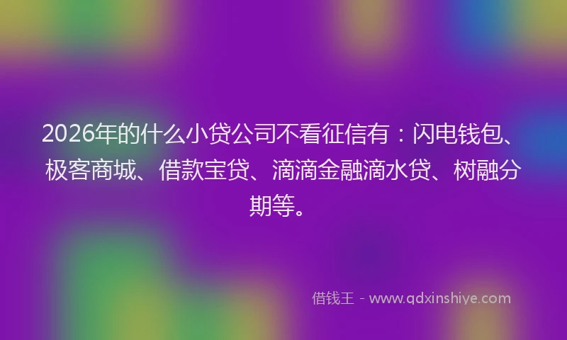2026年的什么小贷公司不看征信有:闪电钱包、极客商城、借款宝贷、滴滴金融滴水贷、树融分期等。