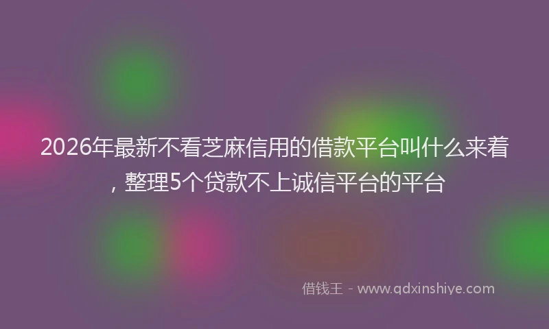 2026年最新不看芝麻信用的借款平台叫什么来着,整理5个贷款不上诚信平台的平台