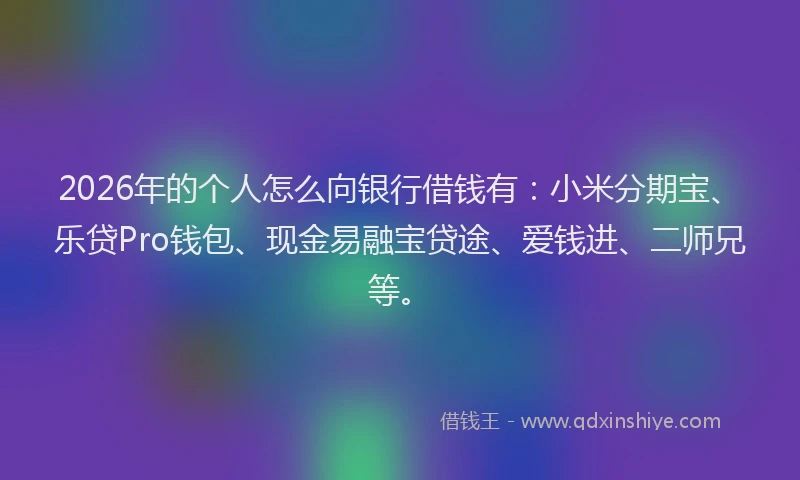 2026年的个人怎么向银行借钱有：小米分期宝、乐贷Pro钱包、现金易融宝贷途、爱钱进、二师兄等。