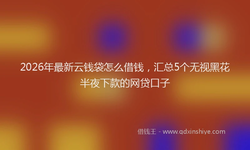 2026年最新云钱袋怎么借钱,汇总5个无视黑花半夜下款的网贷口子