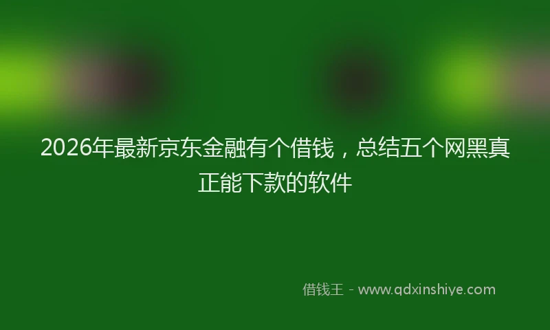 2026年最新京东金融有个借钱,总结五个网黑真正能下款的软件