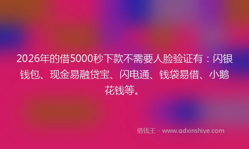 2026年的借5000秒下款不需要人脸验证有：闪银钱包、现金易融贷宝、闪电通、钱袋易借、小鹅花钱等。