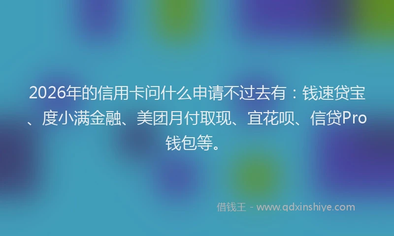 2026年的信用卡问什么申请不过去有:钱速贷宝、度小满金融、美团月付取现、宜花呗、信贷Pro钱包等。