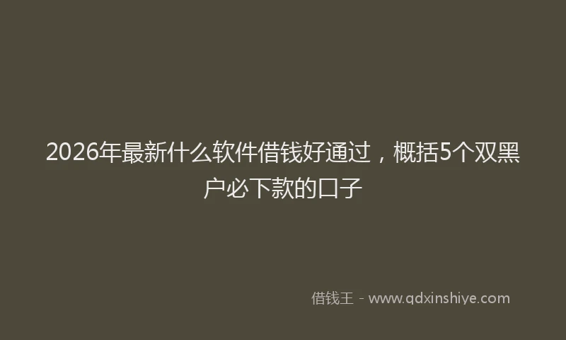 2026年最新什么软件借钱好通过，概括5个双黑户必下款的口子