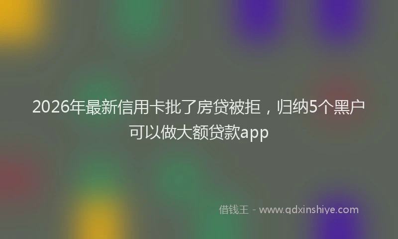 2026年最新信用卡批了房贷被拒，归纳5个黑户可以做大额贷款app
