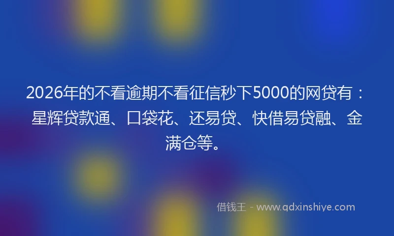 2026年的不看逾期不看征信秒下5000的网贷有：星辉贷款通、口袋花、还易贷、快借易贷融、金满仓等。