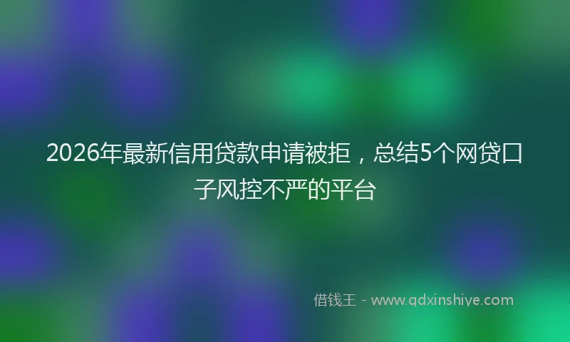 2026年最新信用贷款申请被拒,总结5个网贷口子风控不严的平台