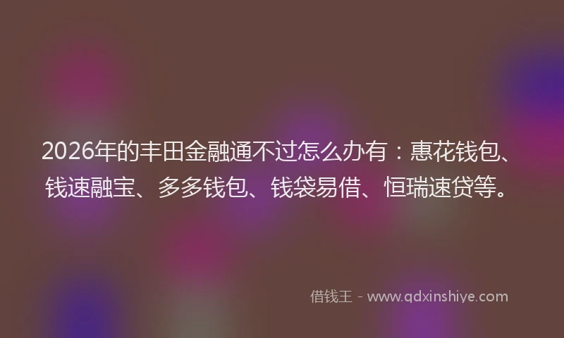 2026年的丰田金融通不过怎么办有：惠花钱包、钱速融宝、多多钱包、钱袋易借、恒瑞速贷等。